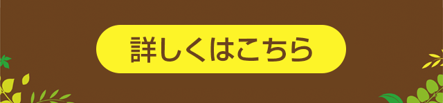 マンスリーサイン第３弾　詳しくはこちら